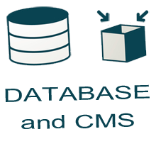 Databases and CMS